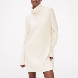 Zara Turtleneck Long Sleeve Sweater Dress